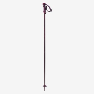 Kije Zjazdowe SALOMON ARCTC LADY Fig